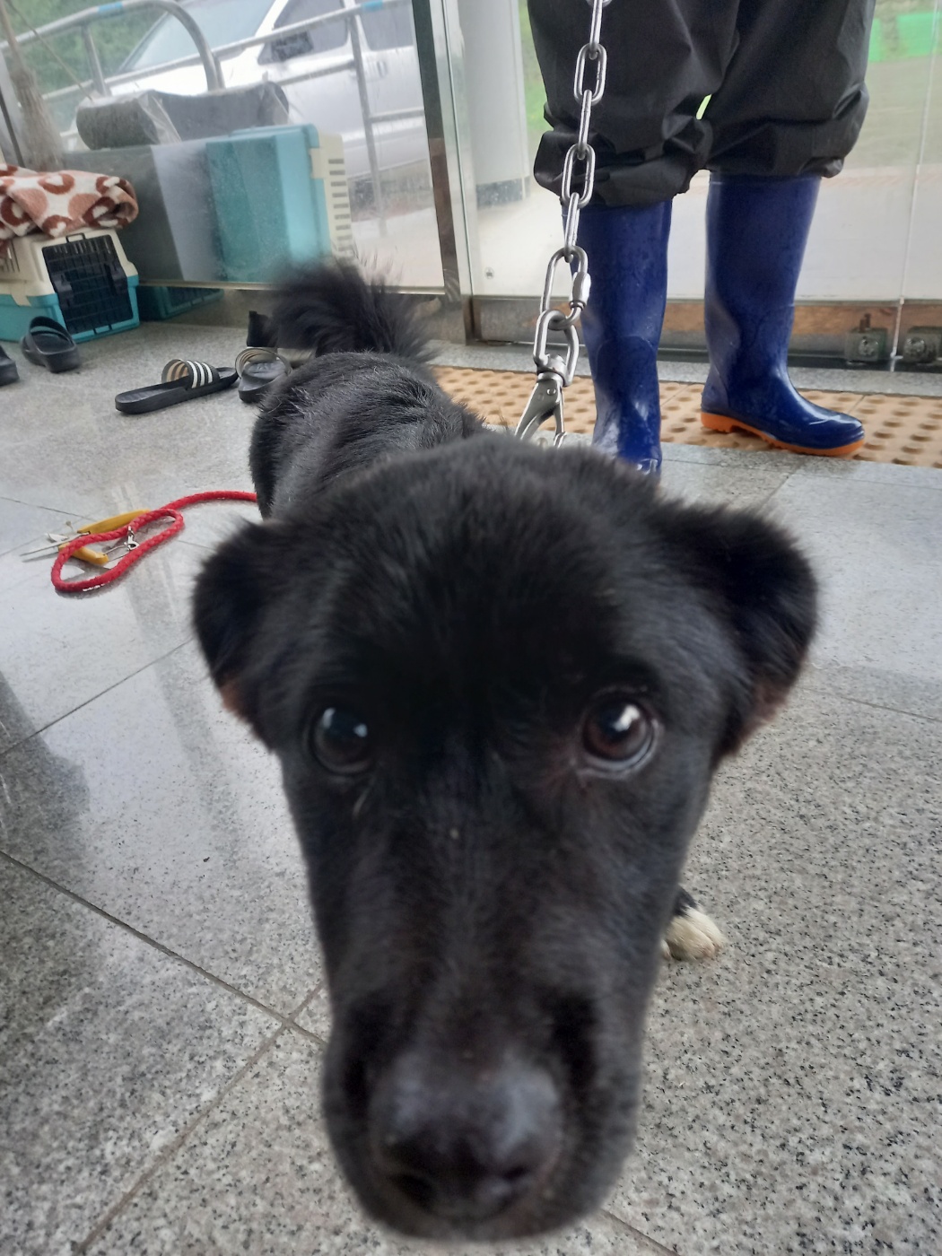 구미시 동물보호센터_447508202300778